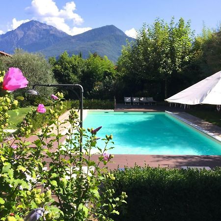 Regina Lago Di Como دونغو المظهر الخارجي الصورة